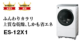 ドラム式洗濯乾燥機ES-12X1