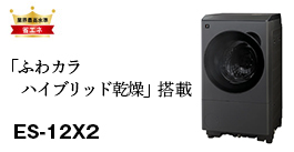 ドラム式洗濯乾燥機ES-12X2